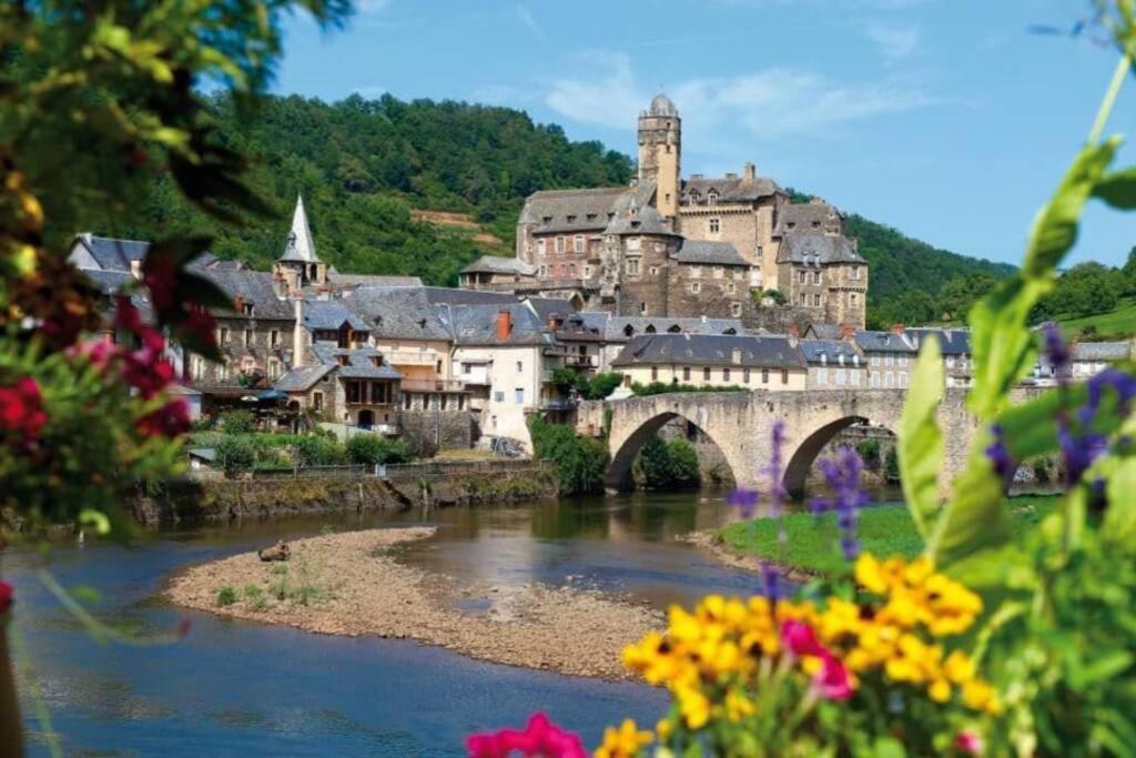 T 2 Dans Village 3 *** à Saint Geniez 2 Piscines Chauffée * Pierrefiche (Aveyron)