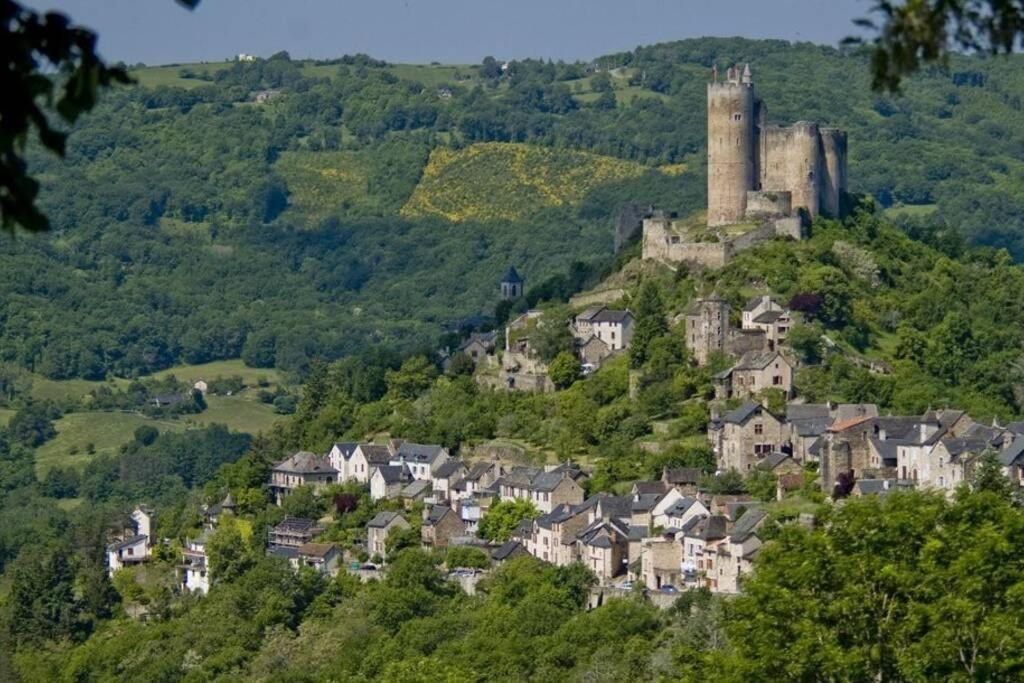 Apartment T 2 Dans Village 3 *** A Saint Geniez 2 Piscines Chauffee Pierrefiche (Aveyron)